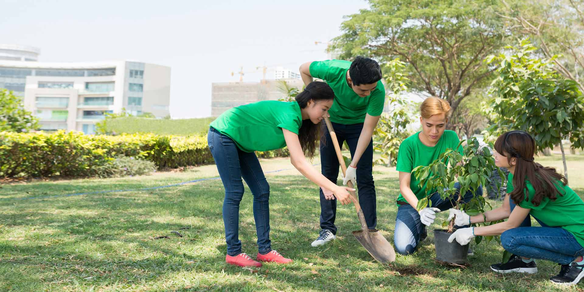 A group of young volunteers plants trees in a park after receiving government and non-profit financing and banking services