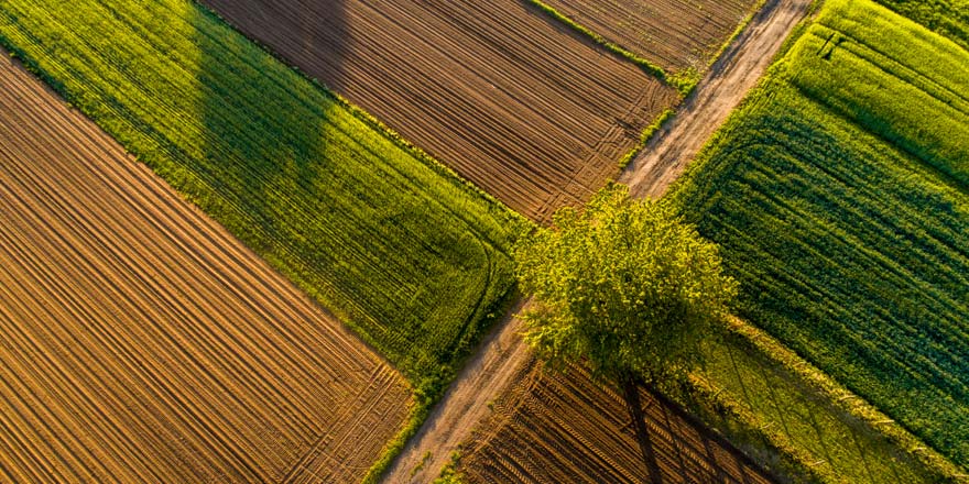 An aerial photo looking down at the fields of a farm that received agribusiness financing